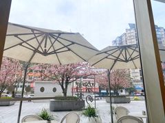 -奈雪的茶(东原悦荟店)