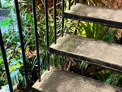 -J Create城市露营咖啡·简餐·宠物(上海动物园店)