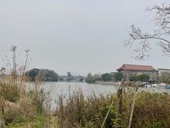 -三垟湿地
