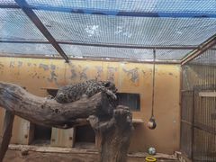 -青藏高原野生动物园