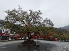 -句容茅山景区