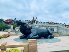 -广东圆玄道观