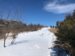 -阳台山自然风景区