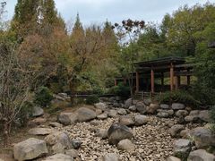 -宝界山林公园