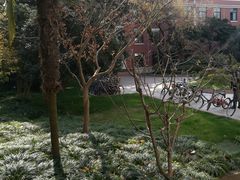-复旦大学光华楼