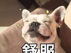 -九木杂物社(大东方百货店)
