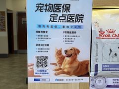 -美联众合动物医院·24h转诊中心
