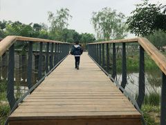 -东郊湿地公园