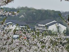 -宜兴龙背山森林公园