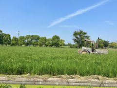 -嘉北郊野公园