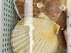 -纯味斑鱼府(上海总店)