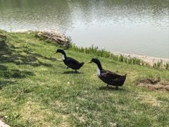 -大连理工大学(凌水校区)