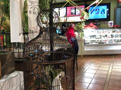 -花蒲甜品(海信广场店)