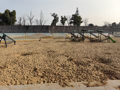 -上海山野camping·户外天幕烧烤·团建拓展营地