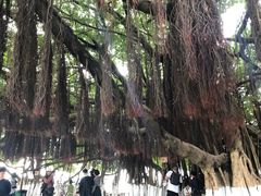 -胡里山炮台