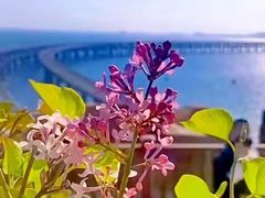 -马栏河运动公园