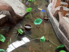 -和源祥·日照菜扛把子(万平口一店)