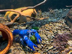 -太平洋海底世界