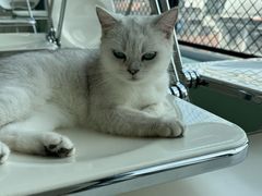 -怪兽屋·羊驼·猫咖·狗咖(俊华广场店)