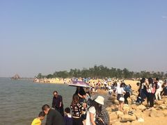 -瑶湖郊野森林公园