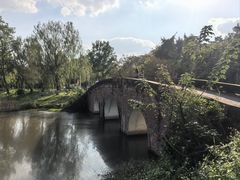 -白鹭湾湿地公园