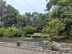 -武侯墓风景区