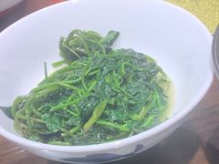 蒜蓉茼蒿-井水小厨·湘菜(活力广场店)
