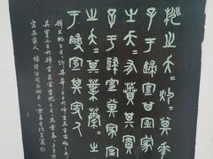 -桃花堤公园