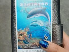 -蓬莱欧乐堡海洋极地世界