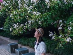 -杭州城北体育公园