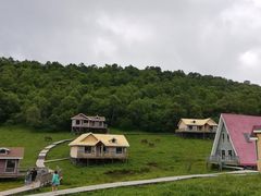 -关山草原