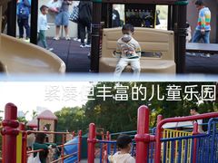 -九龙公园