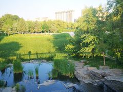 -长春世界雕塑园冰雪艺术天地