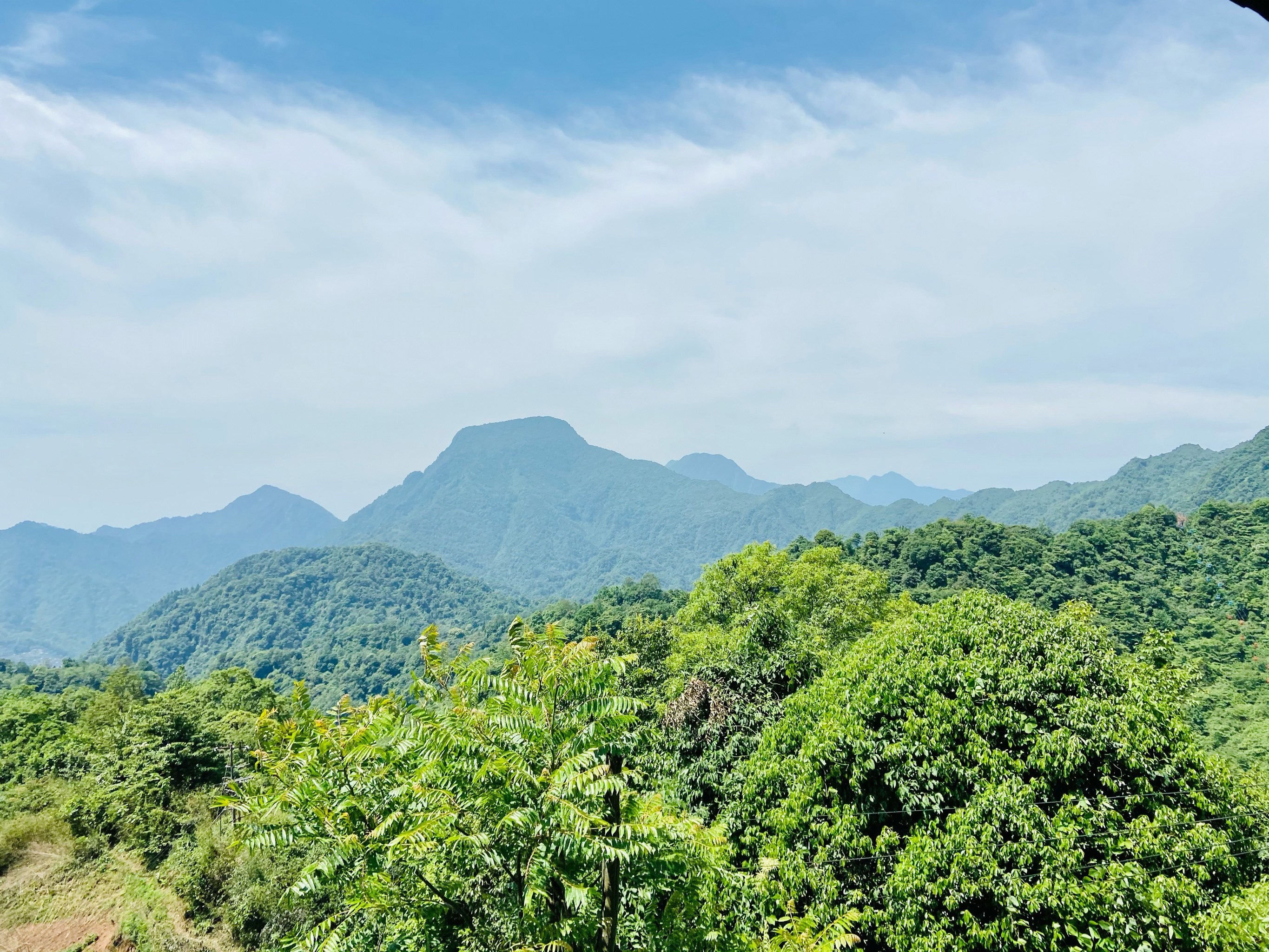 犀浦天气在线 犀浦天气在线