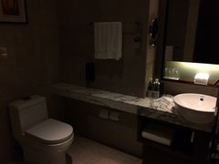 -上海龙之梦万丽酒店