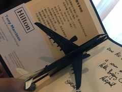 -北京首都机场希尔顿酒店