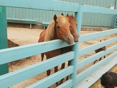 -酷鱼垂钓CLUB(朝阳区博大路店 )