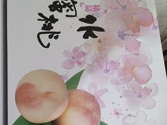 -老袁家蜜桃农场·阳山水蜜桃