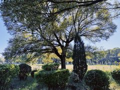-赛汗塔拉风情园