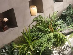 -施奈儿.洗头頭療.按摩SPA.采耳(上梅林店)