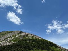 -朱雀国家森林公园