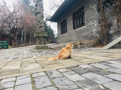 -晋祠公园