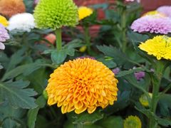 -共青国家森林公园-售票处