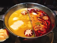 花胶鸡汤锅底-湊湊火锅·茶憩(新中关购物中心店)