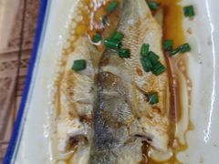 -鑫鸿达·海鲜闽菜热炒小馆(中山路店)