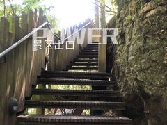 -怀托摩萤火虫洞