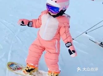 谁家小可爱 滑雪技术这么好！