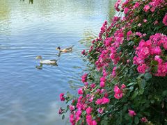 -J Create城市露营咖啡·简餐·宠物(上海动物园店)