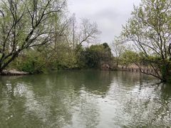 景点-西溪国家湿地公园