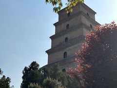 -大慈恩寺(大雁塔)